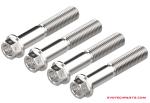 Bremssattel Schraubensatz vorne (Race) von Evotech Performance